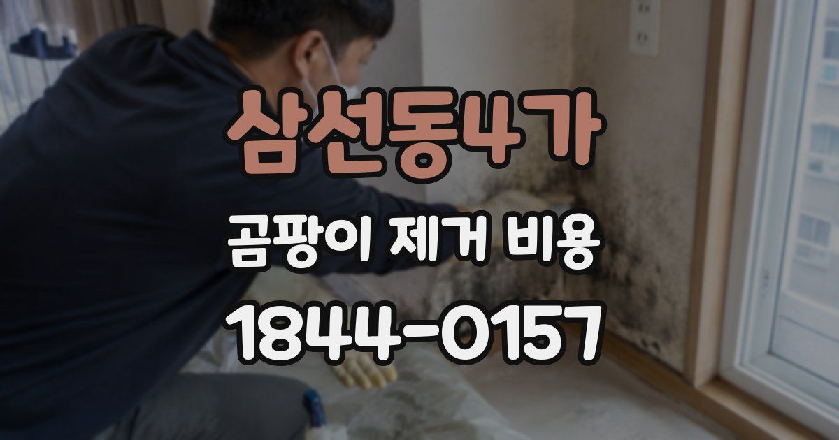 삼선동4가 곰팡이 제거 비용