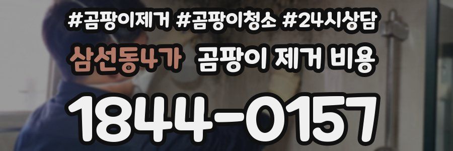 삼선동4가 곰팡이 제거 비용
