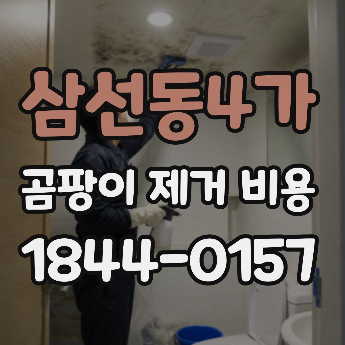 삼선동4가 곰팡이 제거 비용