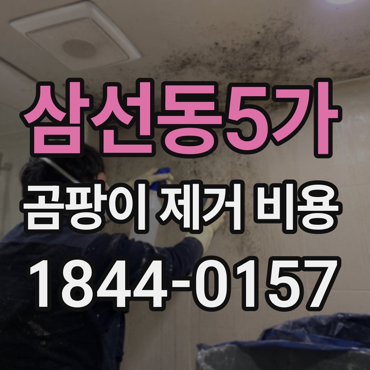 삼선동5가 곰팡이 제거 비용 다세대 건물 공용부와 세대별 차이 살펴보기