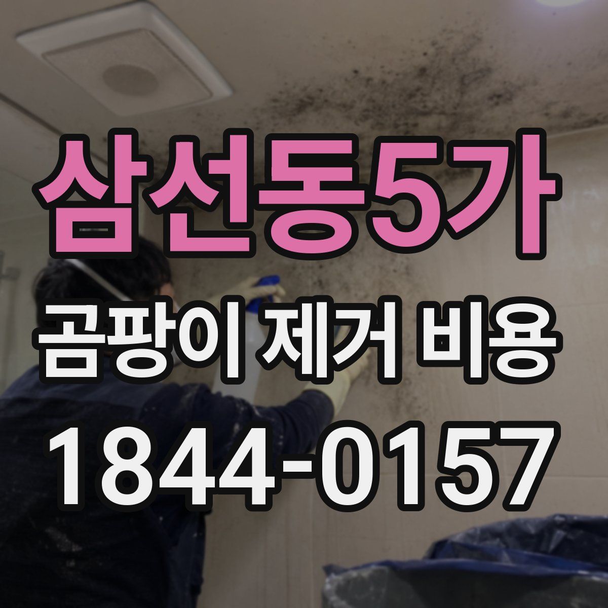 삼선동5가 곰팡이 제거 비용