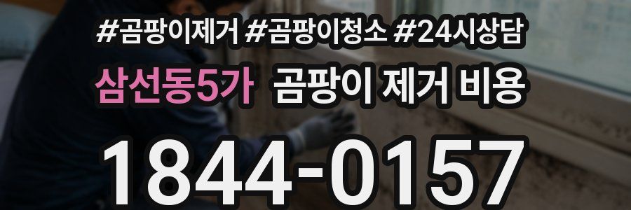 삼선동5가 곰팡이 제거 비용