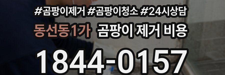 동선동1가 곰팡이 제거 비용