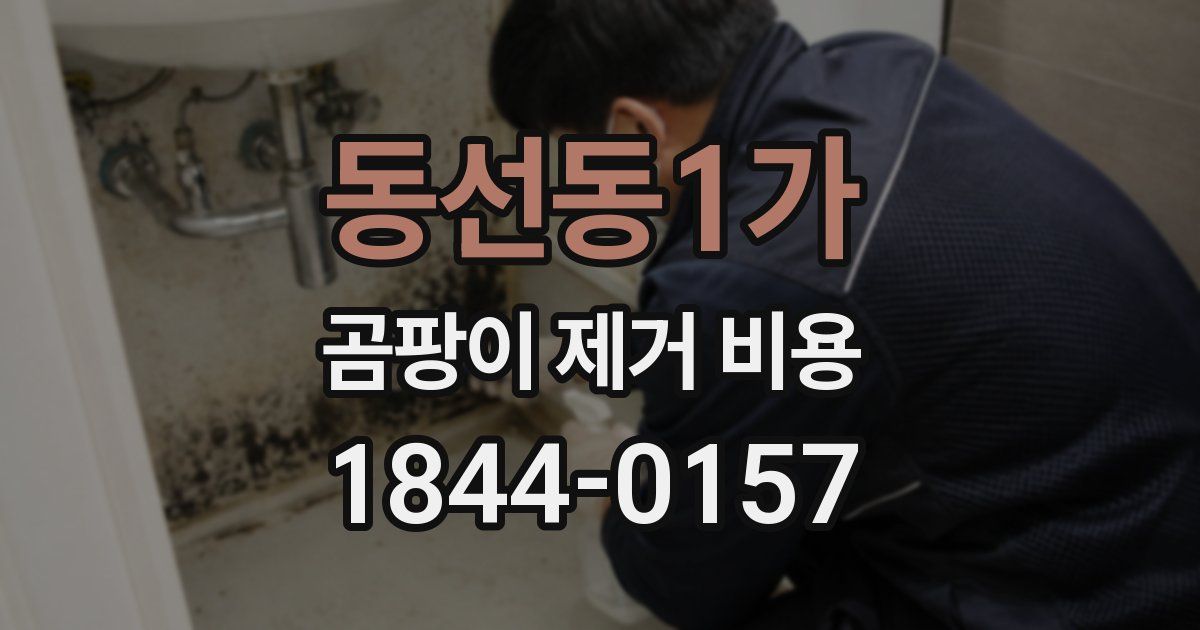 동선동1가 곰팡이 제거 비용