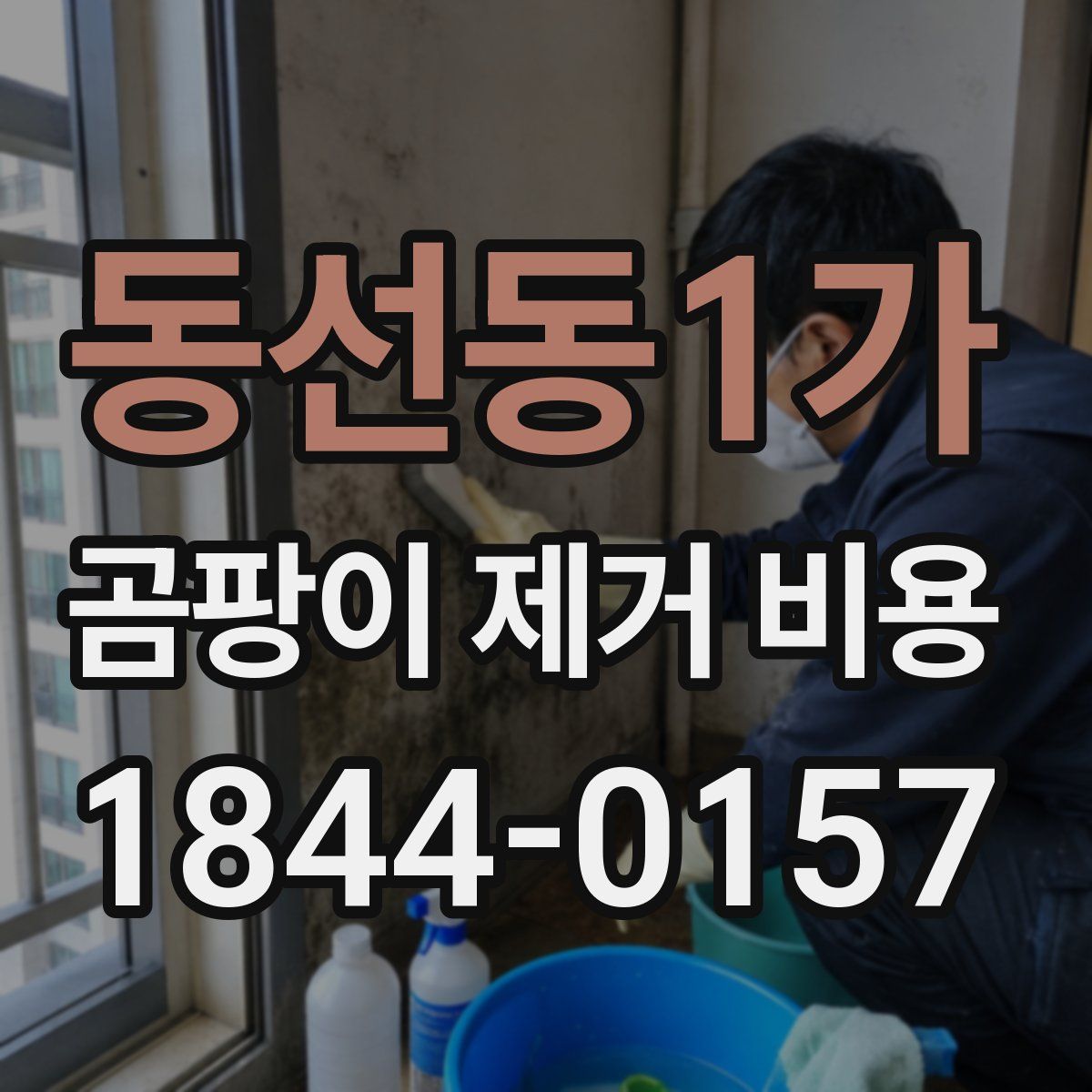 동선동1가 곰팡이 제거 비용