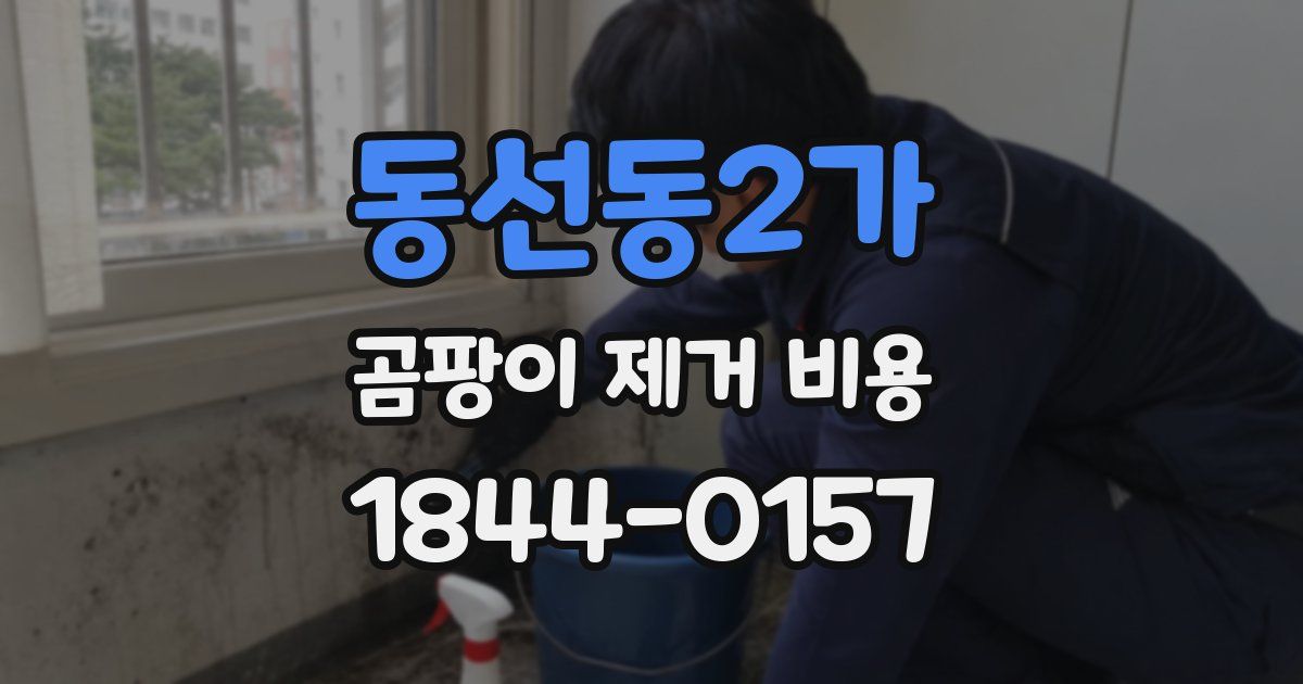 동선동2가 곰팡이 제거 비용