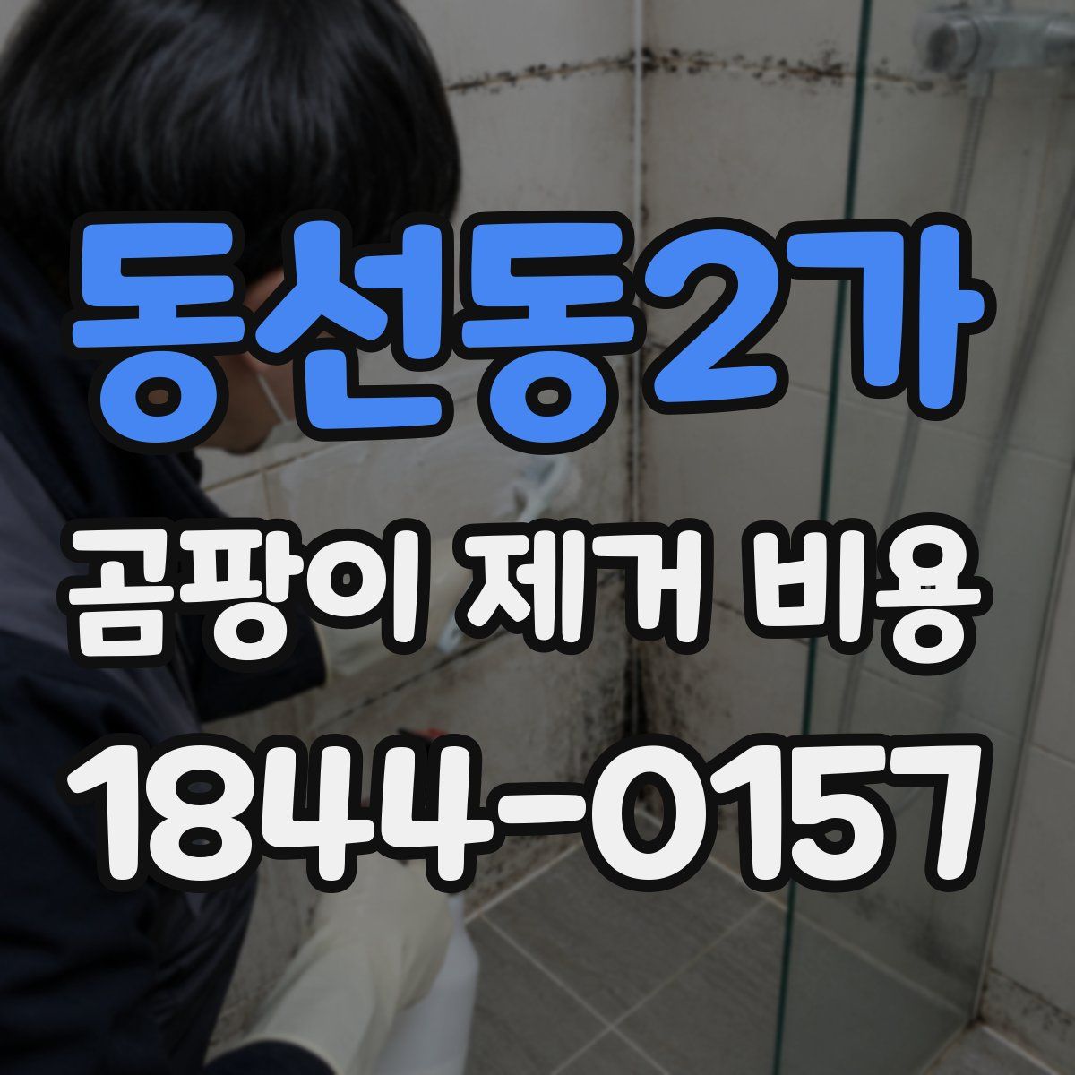 동선동2가 곰팡이 제거 비용