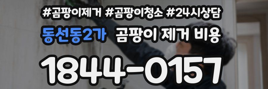 동선동2가 곰팡이 제거 비용