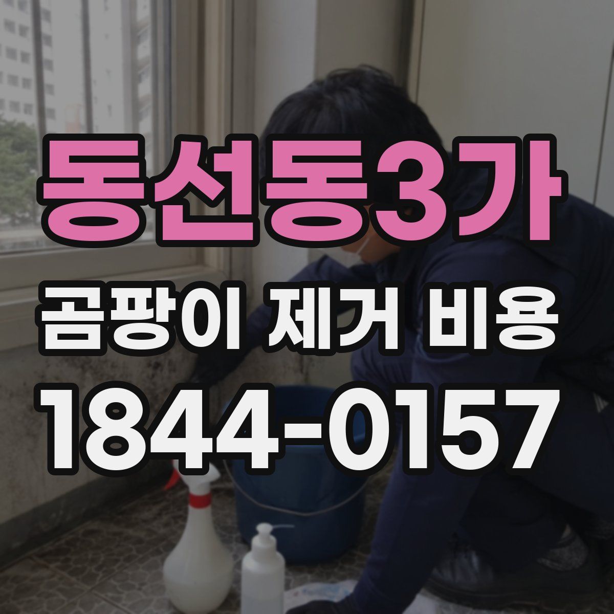 동선동3가 곰팡이 제거 비용