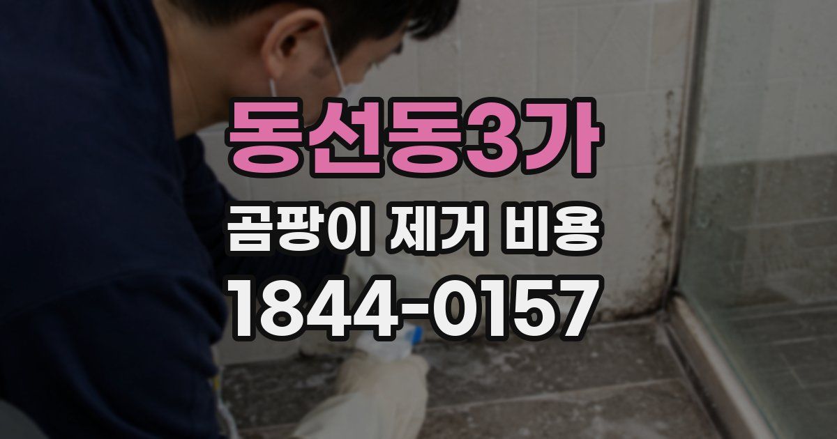 동선동3가 곰팡이 제거 비용