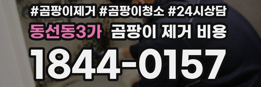 동선동3가 곰팡이 제거 비용