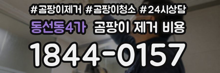 동선동4가 곰팡이 제거 비용