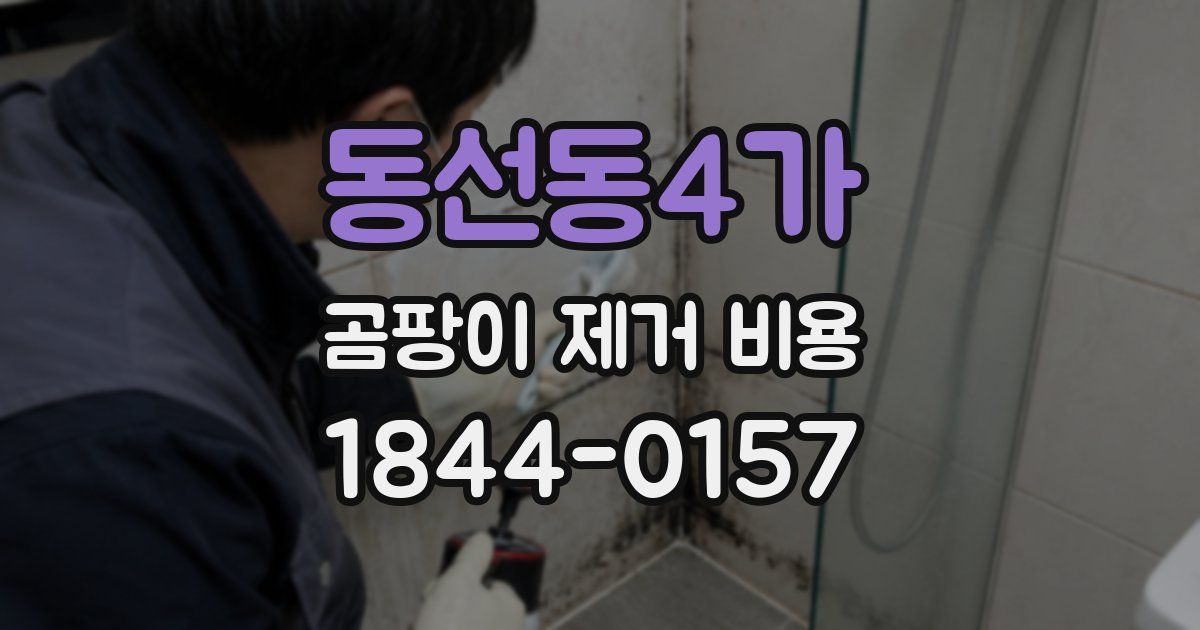 동선동4가 곰팡이 제거 비용