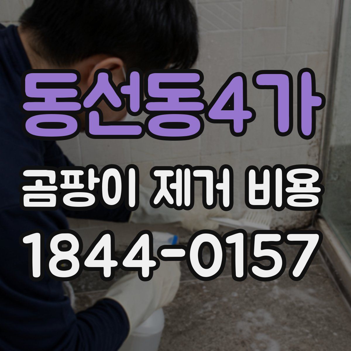 동선동4가 곰팡이 제거 비용