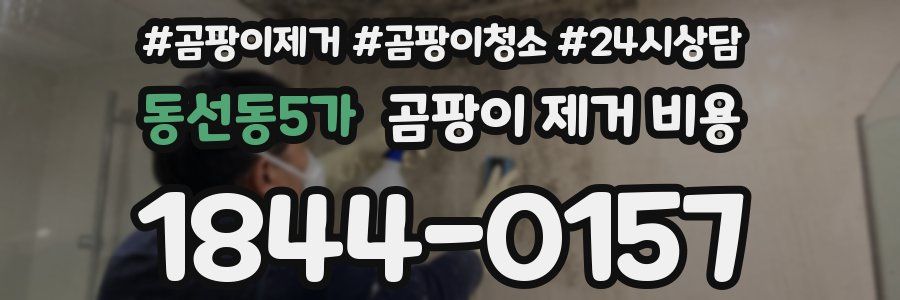 동선동5가 곰팡이 제거 비용
