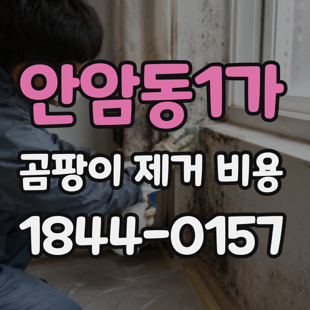 안암동1가 곰팡이 제거 비용