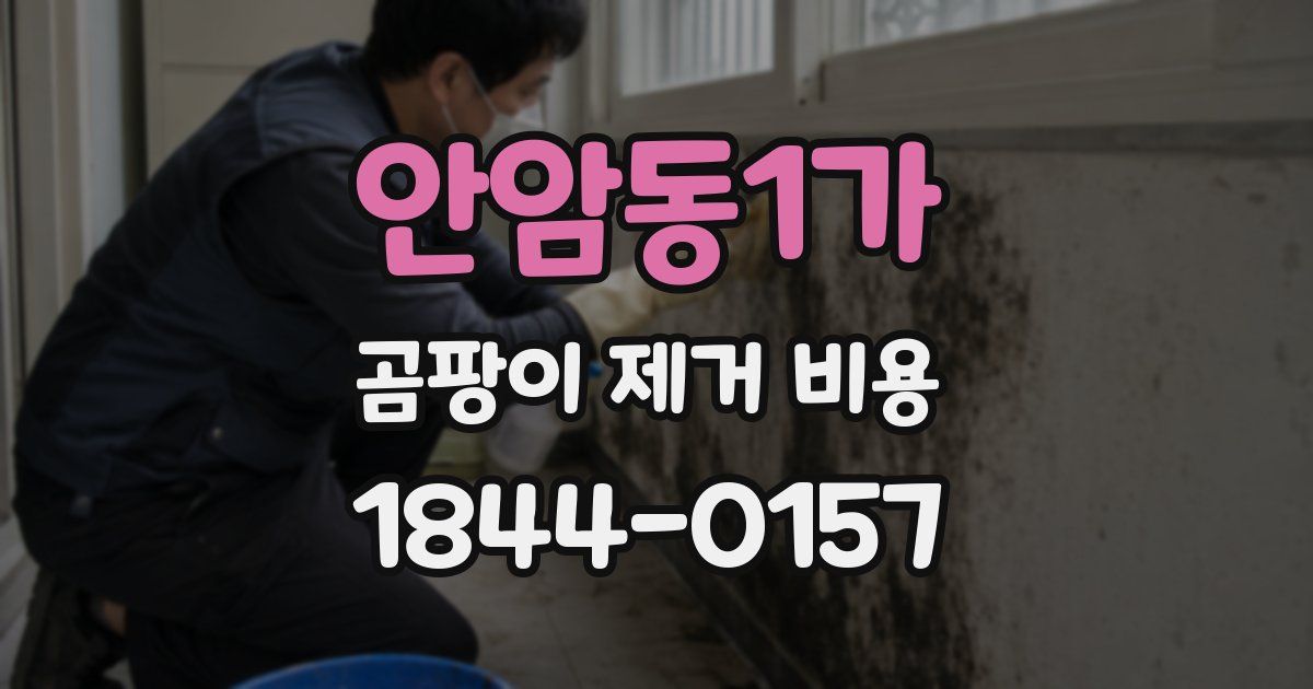 안암동1가 곰팡이 제거 비용