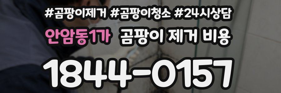 안암동1가 곰팡이 제거 비용