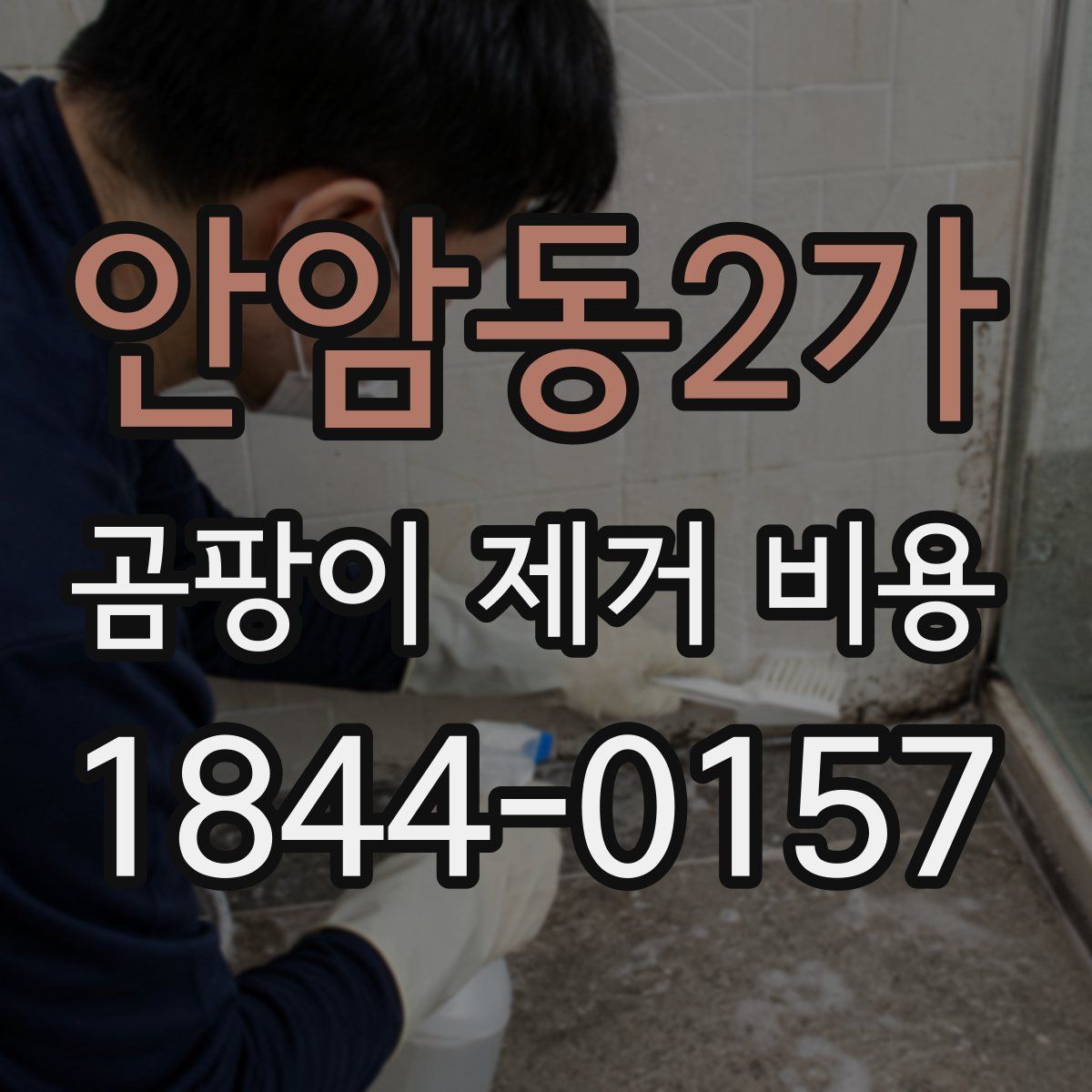안암동2가 곰팡이 제거 비용