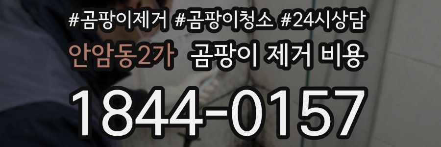 안암동2가 곰팡이 제거 비용