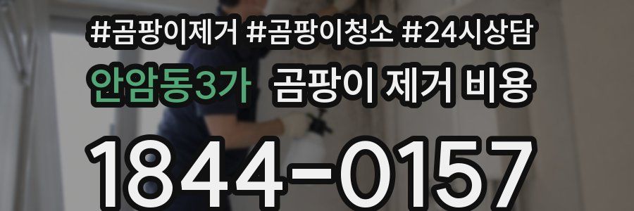 안암동3가 곰팡이 제거 비용