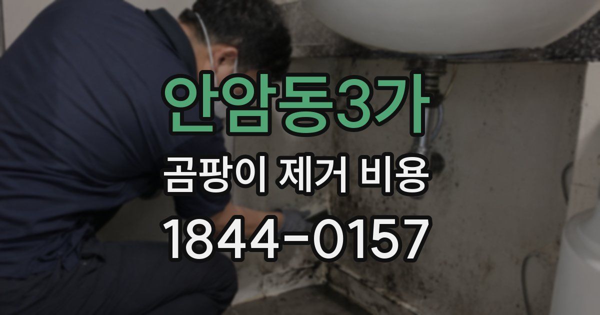 안암동3가 곰팡이 제거 비용
