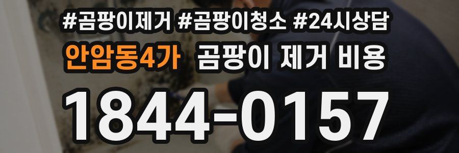 안암동4가 곰팡이 제거 비용