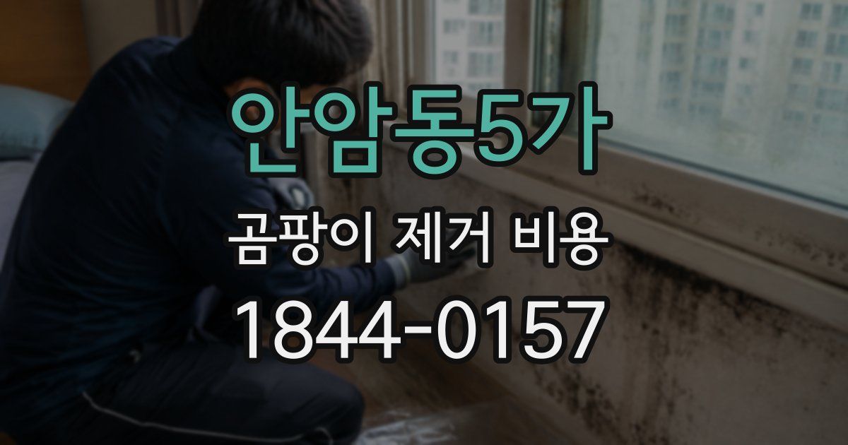 안암동5가 곰팡이 제거 비용