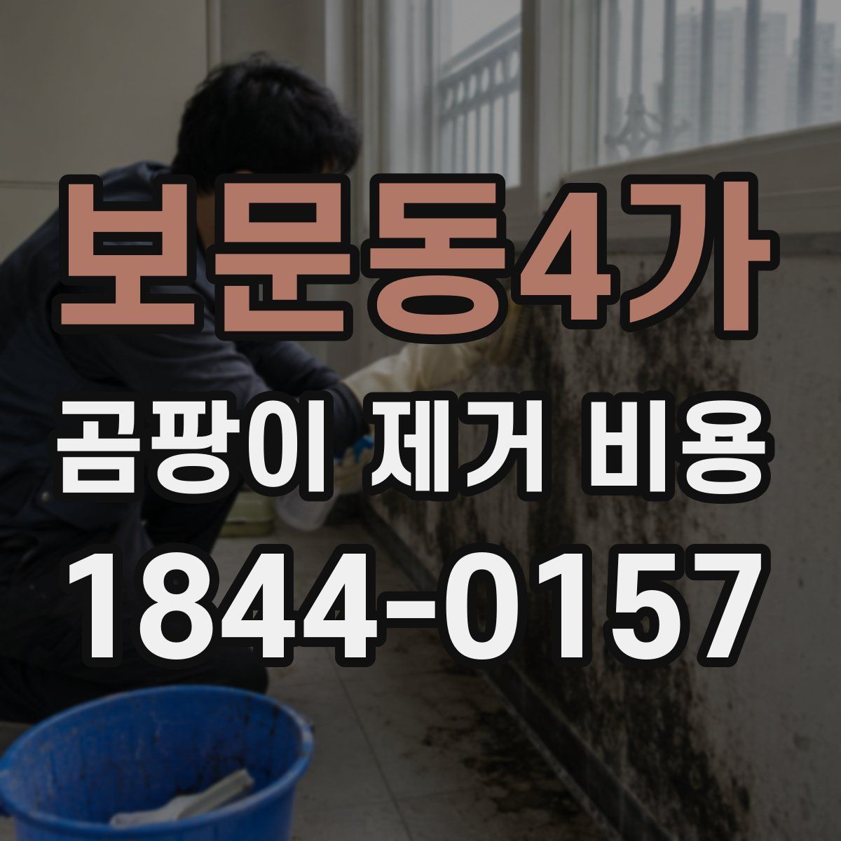 보문동4가 곰팡이 제거 비용