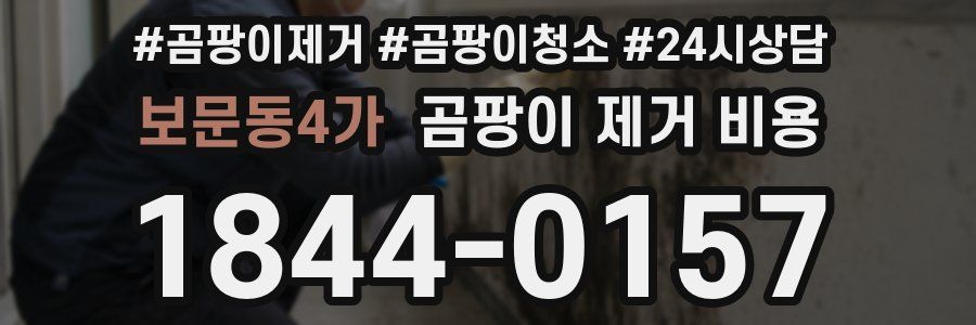 보문동4가 곰팡이 제거 비용