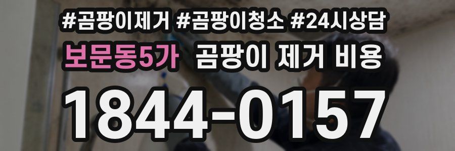 보문동5가 곰팡이 제거 비용