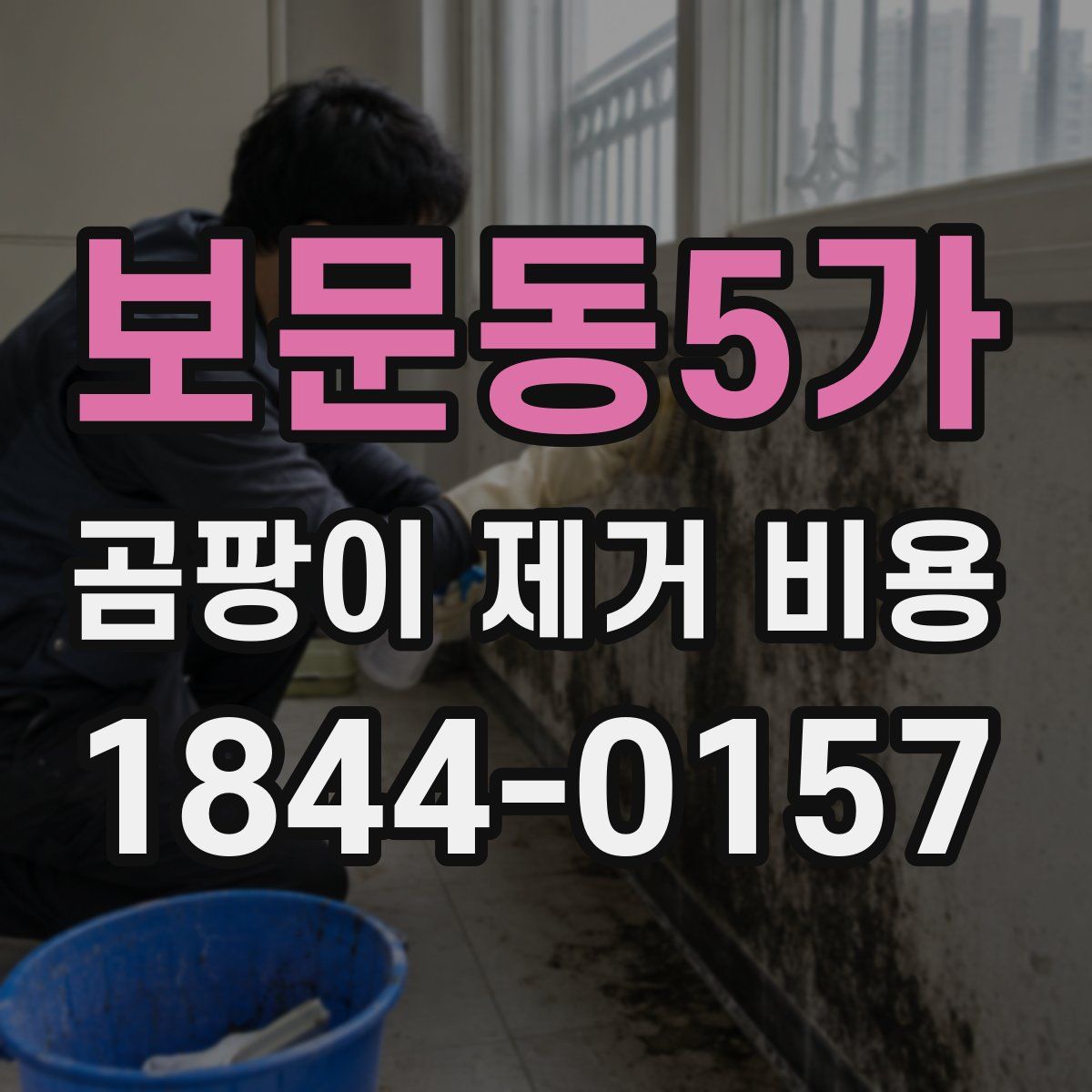 보문동5가 곰팡이 제거 비용