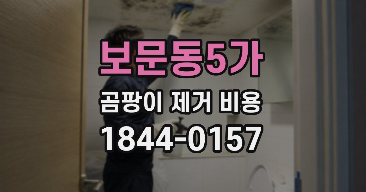 보문동5가 곰팡이 제거 비용