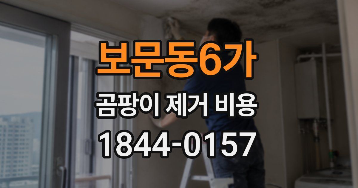 보문동6가 곰팡이 제거 비용