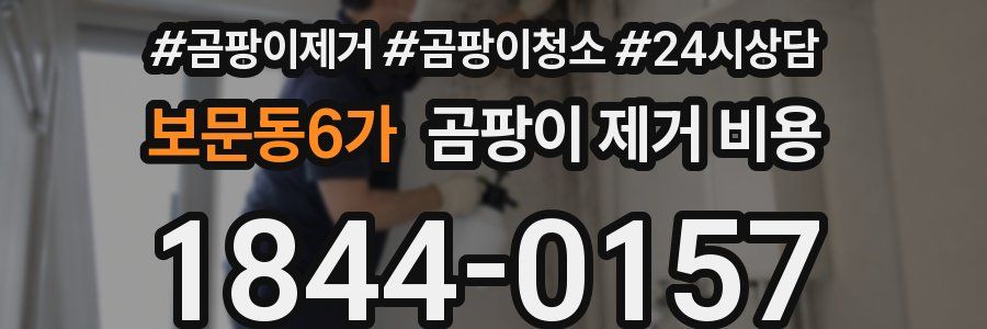 보문동6가 곰팡이 제거 비용