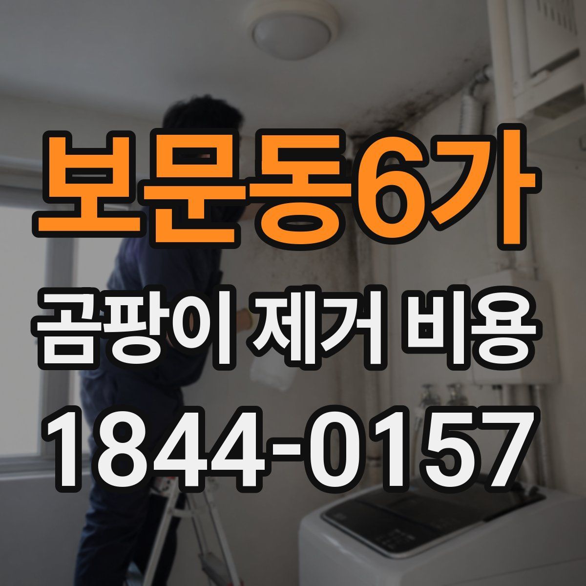 보문동6가 곰팡이 제거 비용
