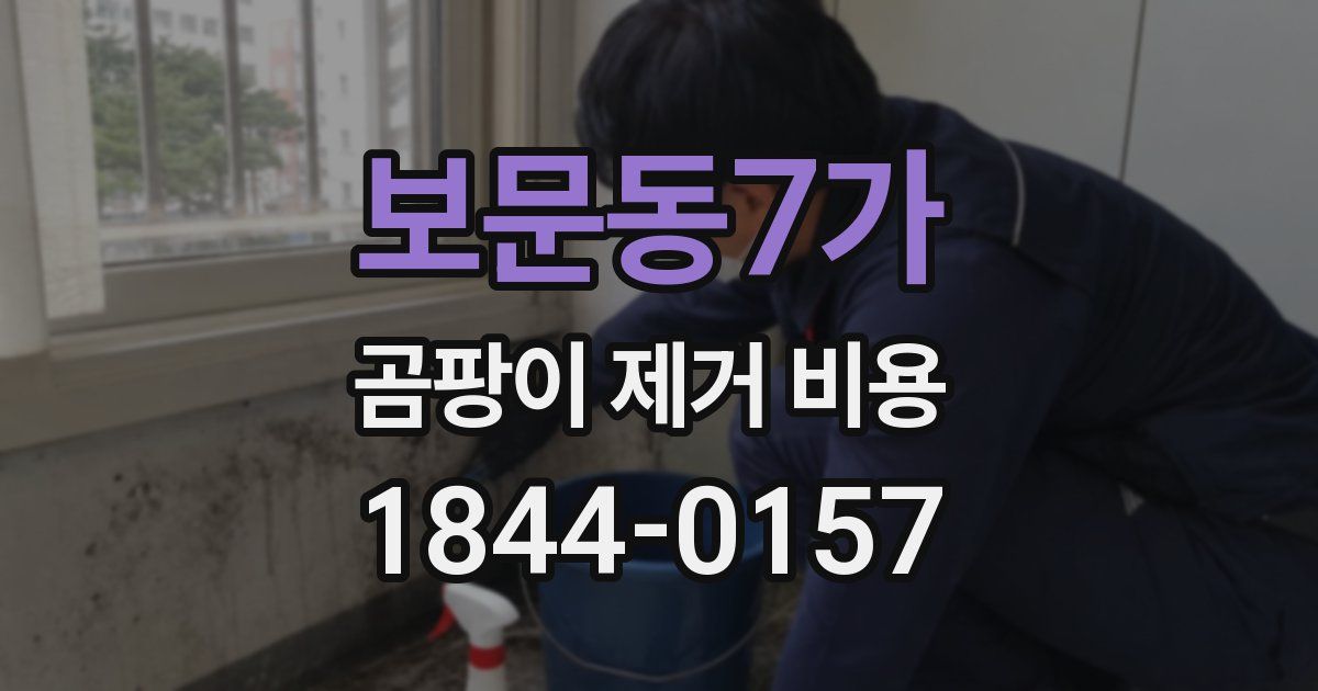 보문동7가 곰팡이 제거 비용