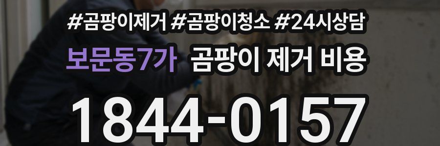 보문동7가 곰팡이 제거 비용