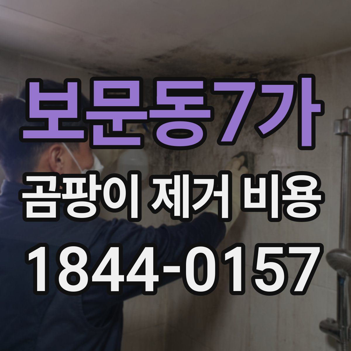보문동7가 곰팡이 제거 비용