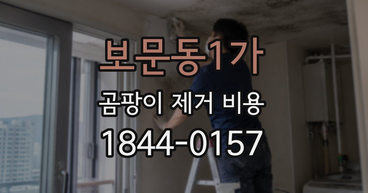 보문동1가 곰팡이 제거 비용