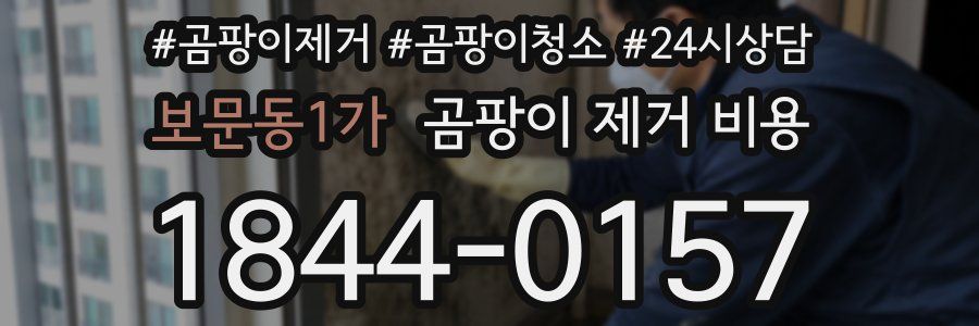 보문동1가 곰팡이 제거 비용