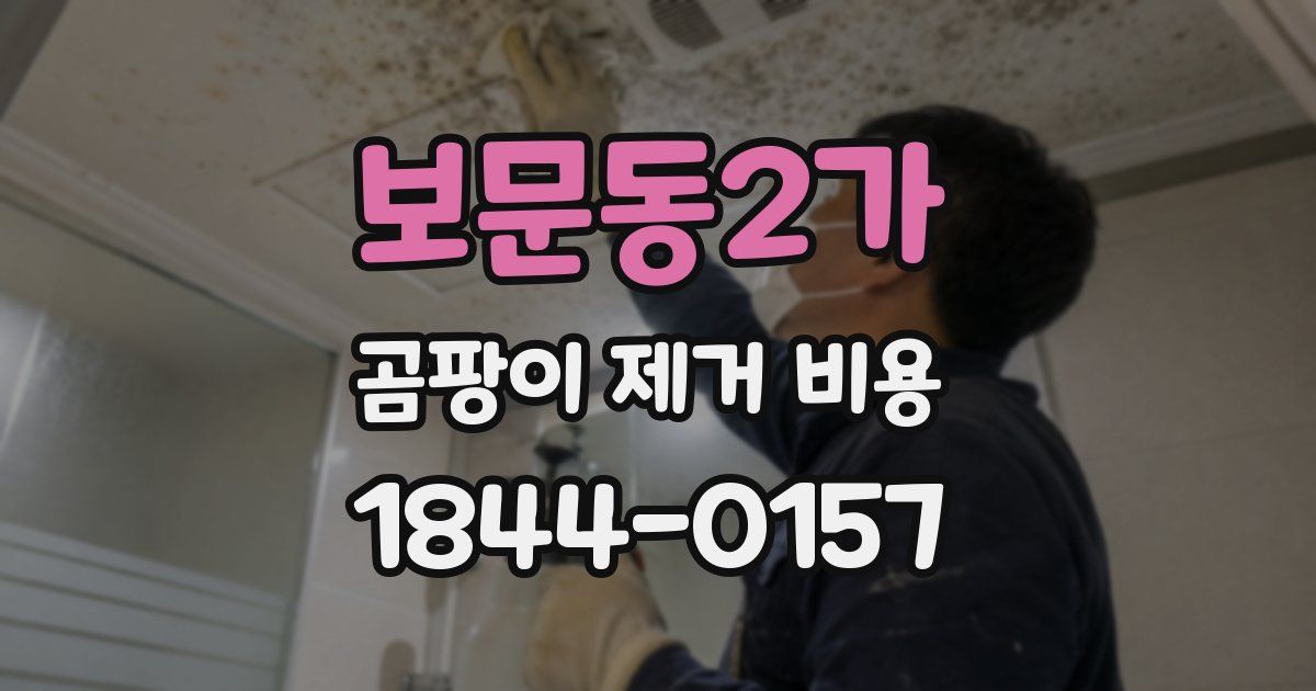 보문동2가 곰팡이 제거 비용