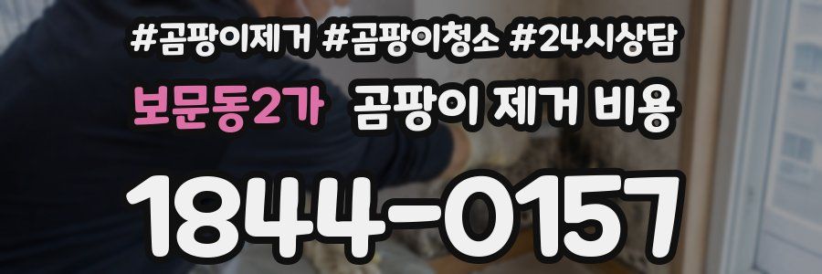 보문동2가 곰팡이 제거 비용