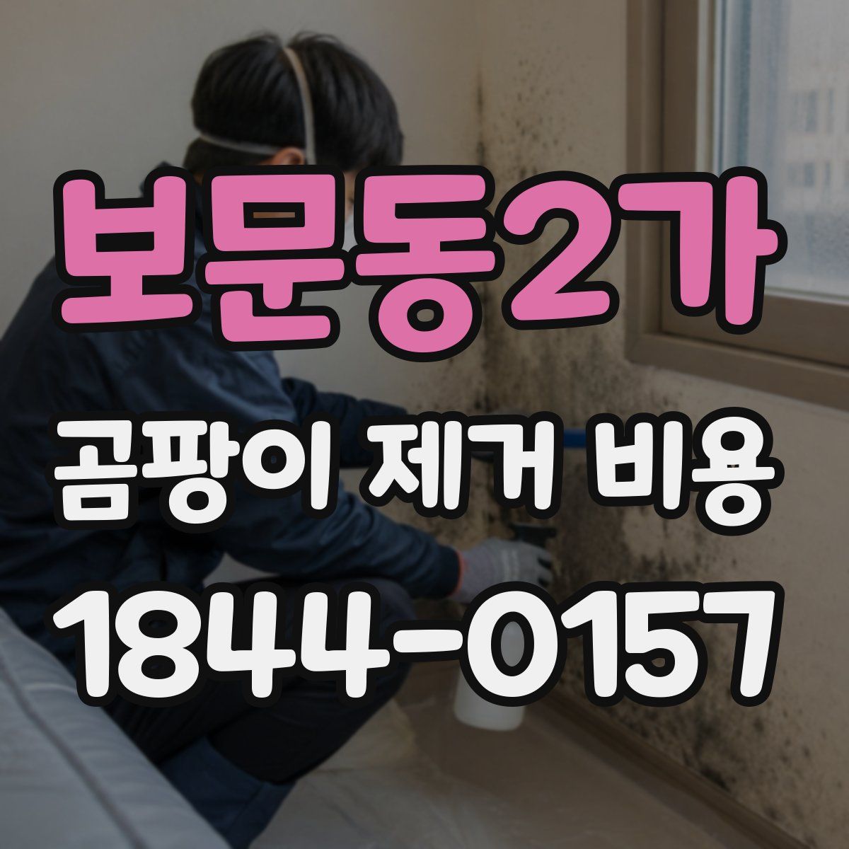 보문동2가 곰팡이 제거 비용