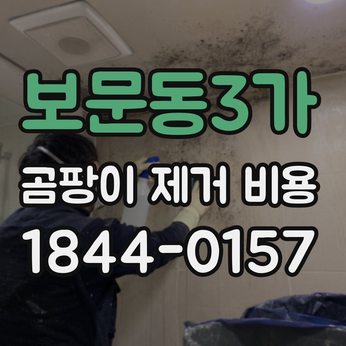 보문동3가 곰팡이 제거 비용