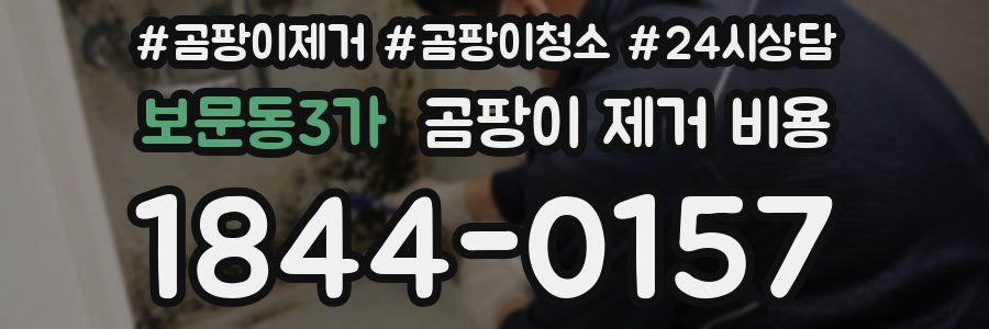 보문동3가 곰팡이 제거 비용
