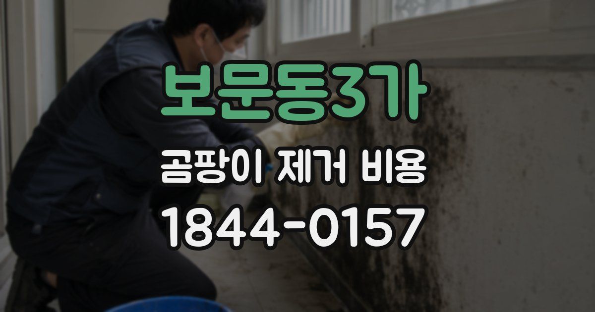 보문동3가 곰팡이 제거 비용