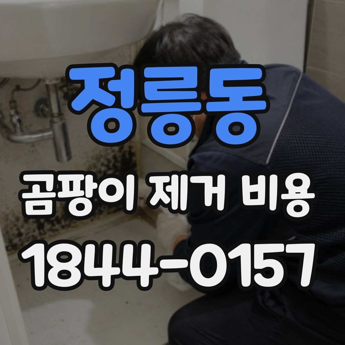 정릉동 곰팡이 제거 비용
