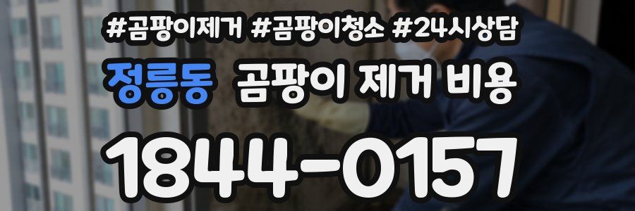 정릉동 곰팡이 제거 비용