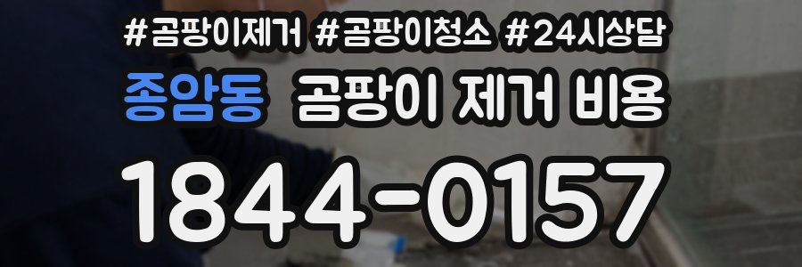 종암동 곰팡이 제거 비용